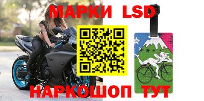 прущие грибы Бийск