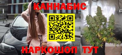 прущие грибы Бийск