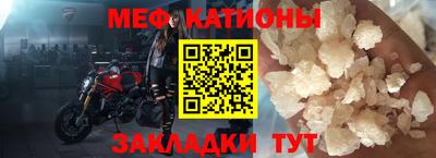 прущие грибы Бийск