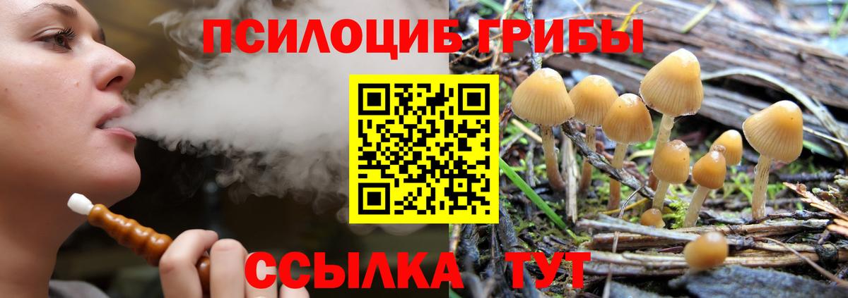 Галлюциногенные грибы Magic Shrooms  хочу наркоту  Канаш  Вход с VPN 