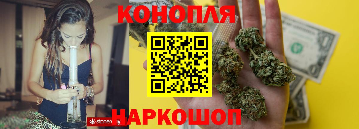 Каннабис планчик Канаш